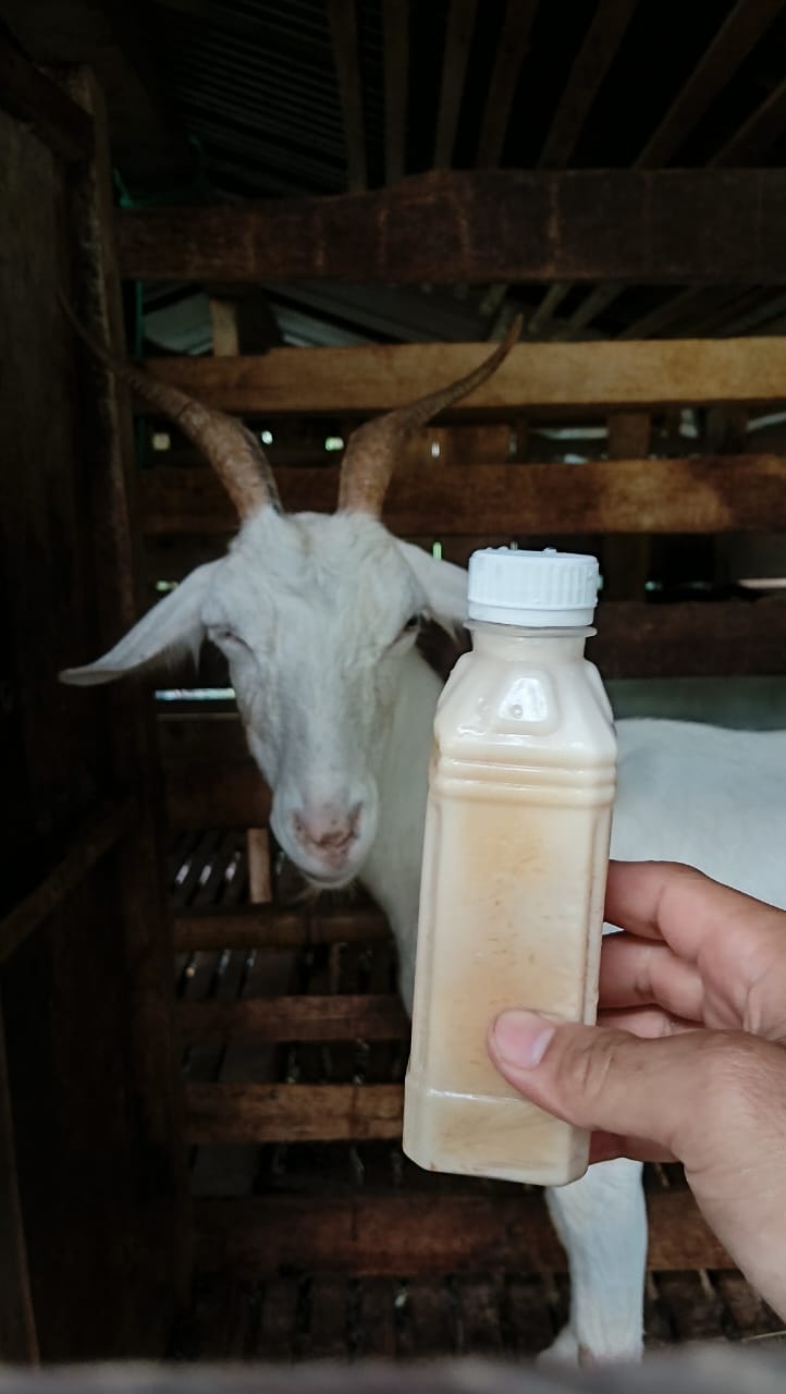 Tentang Prambanan Farm